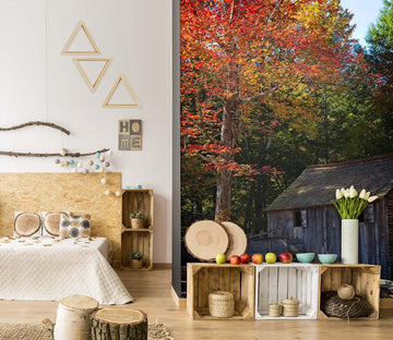 3D Autumn 1399 Kathy Barefield Wall Mural Wall Murals Wallpaper AJ Wallpaper 