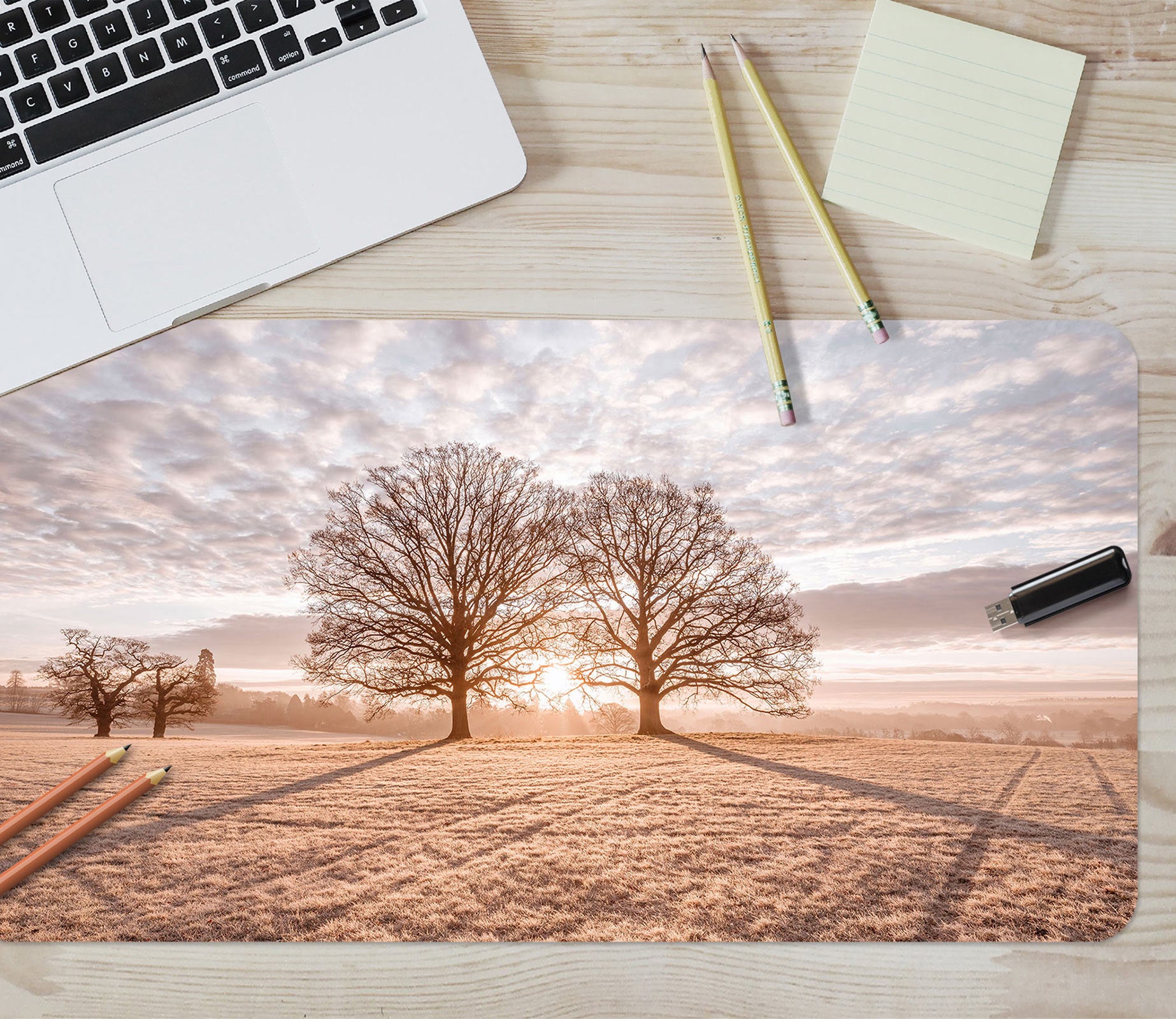3D Sunset Tree Shadow Lawn 12457 Assaf Frank Desk Mat