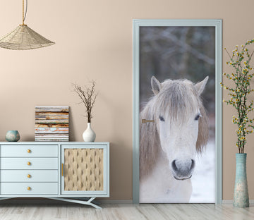 3D White Horse 5146 Assaf Frank Door Mural