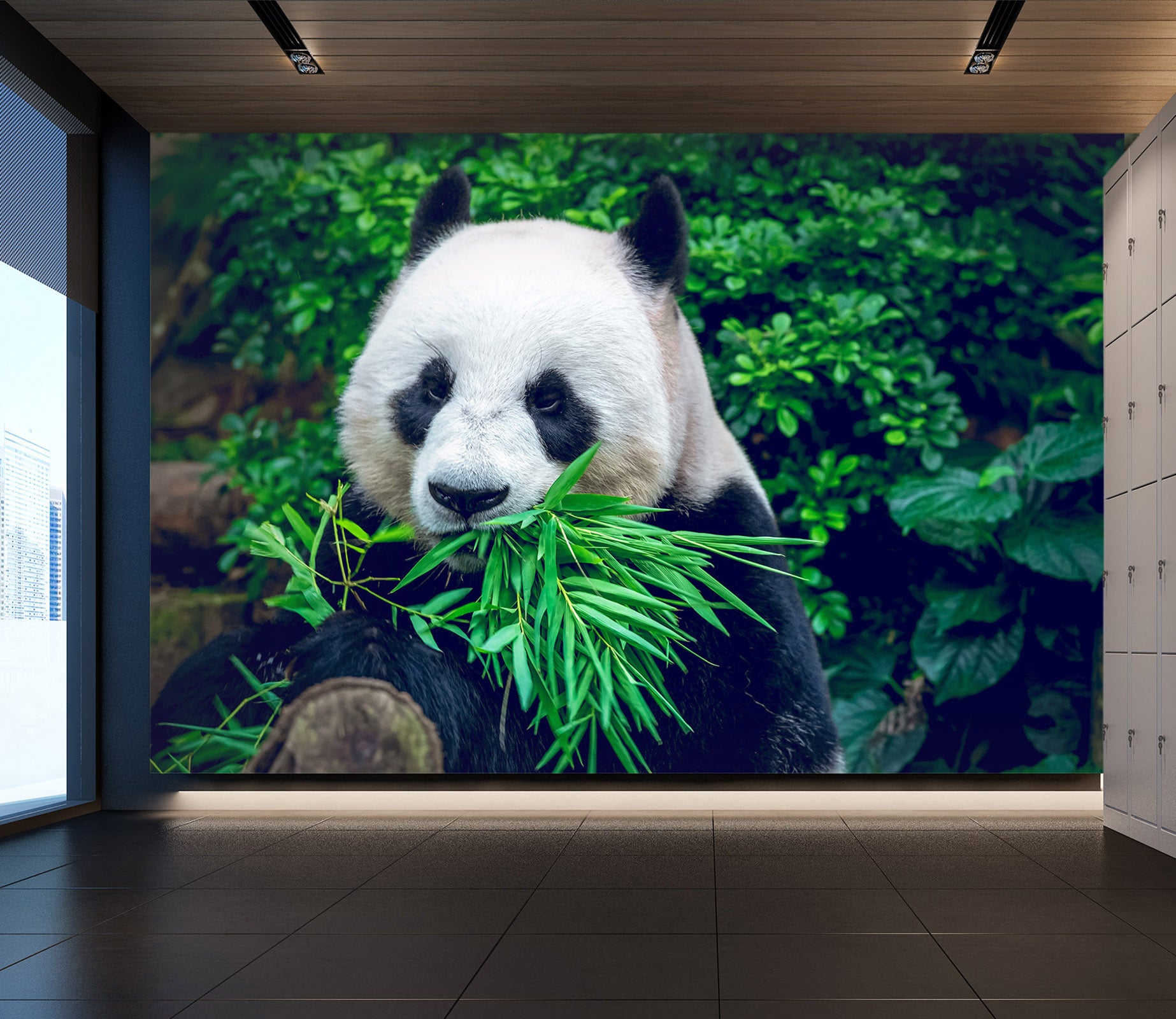 3D Panda Bamboo 57103 Wall Murals