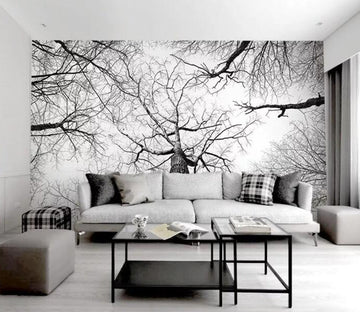 3D Black Branches WG66 Wall Murals Wallpaper AJ Wallpaper 2 