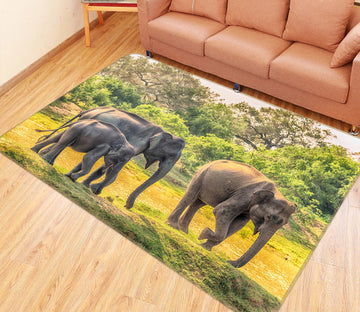 3D Elephant Park 060 Animal Non Slip Rug Mat