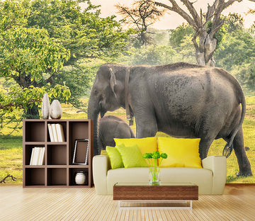 3D Elephant Family 1057 Wall Murals