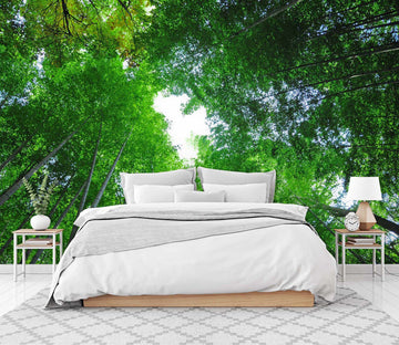 3D Forest White Clouds 058 Wall Murals