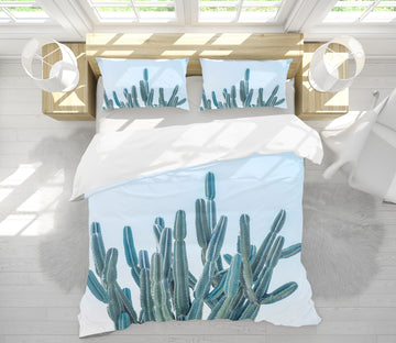 3D Sky Cactus 1049 Assaf Frank Bedding Bed Pillowcases Quilt
