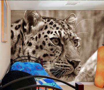 3D Ferocious Leopard 130 Wall Murals