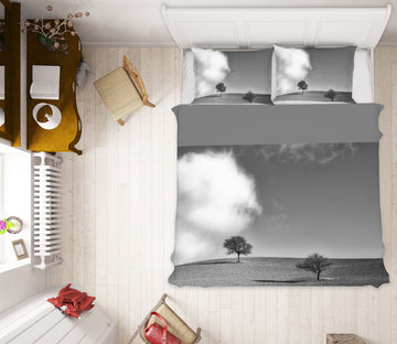 3D Desert Smoke 2118 Marco Carmassi Bedding Bed Pillowcases Quilt