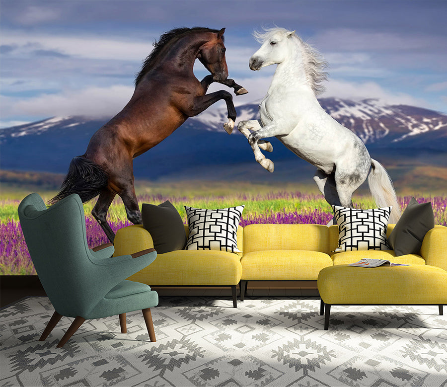 3D Two Horses 1063 Wall Murals