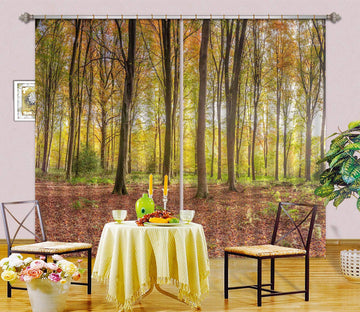 3D Sunshine Forest 6574 Assaf Frank Curtain Curtains Drapes