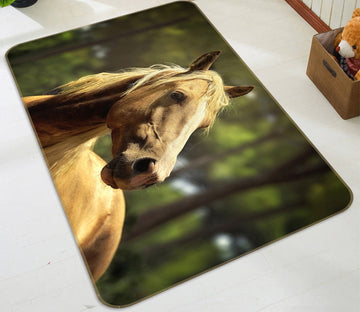 3D Horse Head 595 Animal Non Slip Rug Mat Mat AJ Creativity Home 