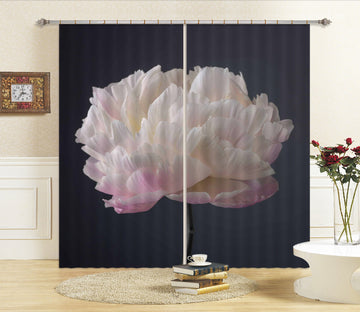 3D Beautiful Flowers 014 TAssaf Frank Curtain Curtains Drapes Wallpaper AJ Wallpaper 
