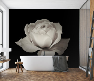 3D Elegant Rose 6208 Assaf Frank Wall Mural Wall Murals