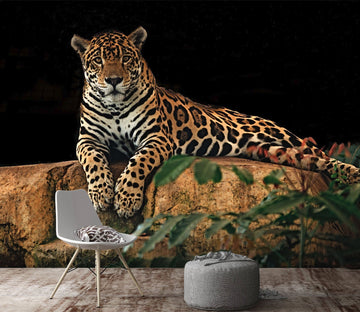 3D Kneeling Tiger 203 Wallpaper AJ Wallpaper 