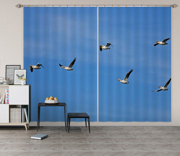3D Seagull Bird 11174 Kathy Barefield Curtain Curtains Drapes