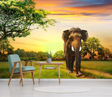 3D Lawn Elephant 340 Wall Murals