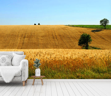 3D Yellow Wheat Field 1492 Wall Murals
