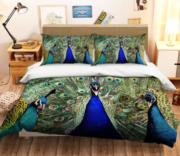 3D Peacock 1917 Bed Pillowcases Quilt