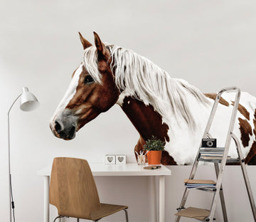 3D Handsome Horse 130 Animals Wall Stickers Wallpaper AJ Wallpaper 
