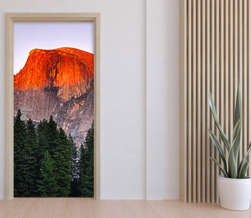 3D Red Mountain Forest 122160 Marco Carmassi Door Mural