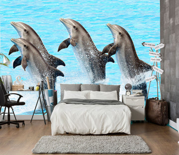 3D Dolphin Show 119 Wall Murals
