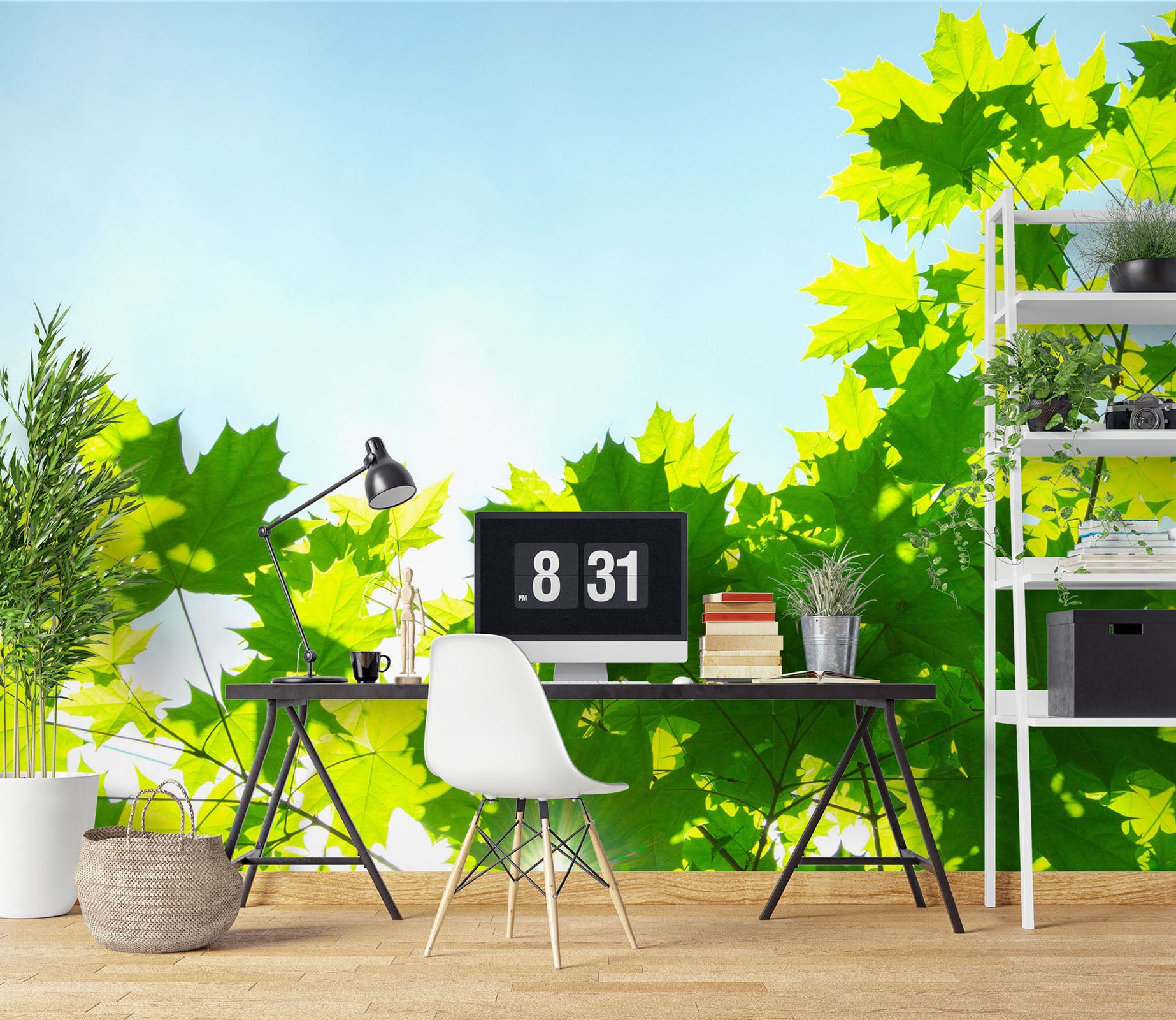 3D Sun Leaves 1102 Wall Murals