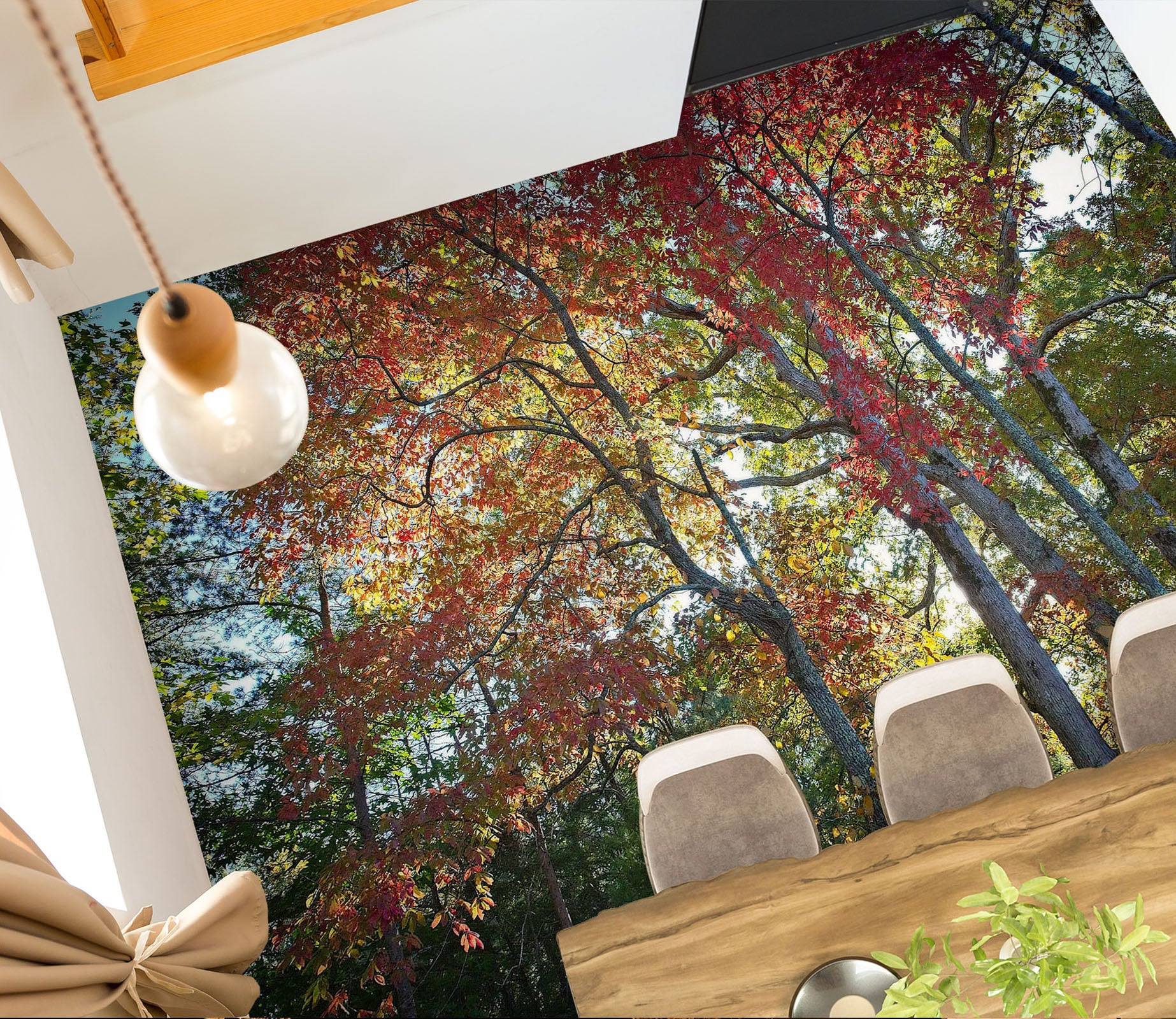 3D Forest 98189 Kathy Barefield Floor Mural  Wallpaper Murals Self-Adhesive Removable Print Epoxy