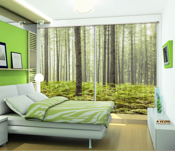 3D Windsor Forest 003 Assaf Frank Curtain Curtains Drapes