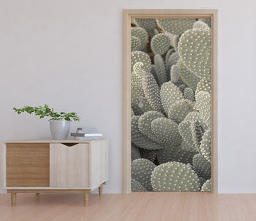 3D Cactus 106174 Assaf Frank Door Mural