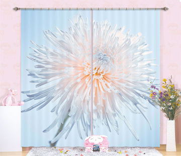 3D Beautiful Flowers 212 Assaf Frank Curtain Curtains Drapes