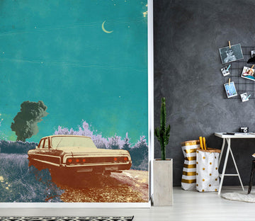 3D Evening Explosion 1402 Showdeer Wall Mural Wall Murals