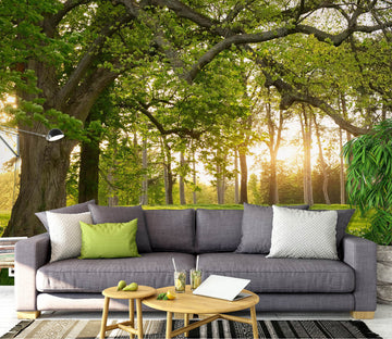 3D Grass Sunshine 1504 Wall Murals