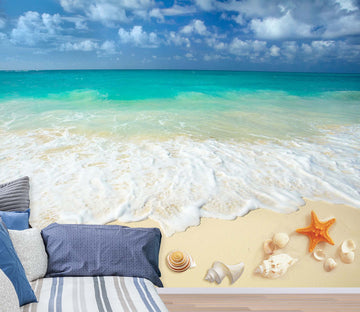 3D Beach Shells 1447 Wall Murals