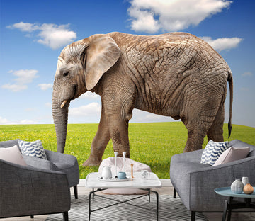 3D Elephant Lawn 393 Wall Murals