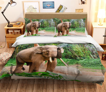 3D Wood Elephant 107 Bed Pillowcases Quilt