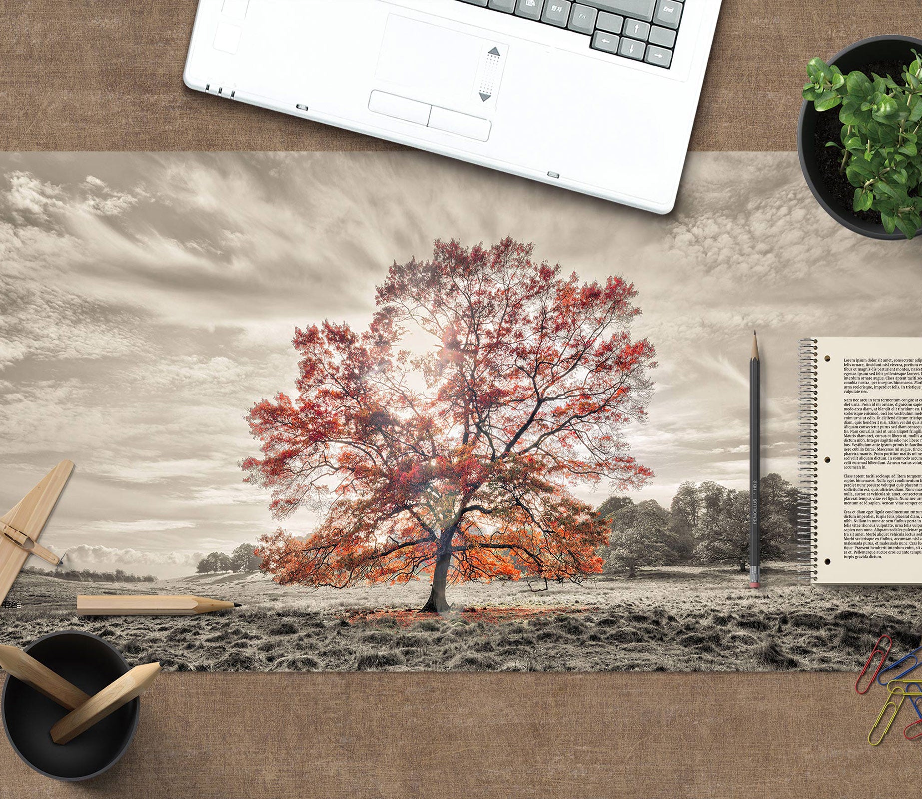 3D Tree Lawn 12439 Assaf Frank Desk Mat