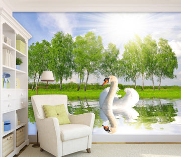 3D Swan Lake 1073 Wall Murals