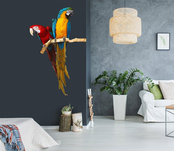 3D Two Parrots 186 Animals Wall Stickers Wallpaper AJ Wallpaper 