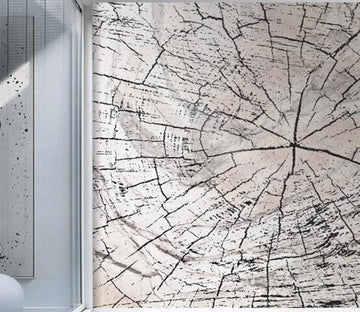 3D Spider Web Crack 2606 Wall Murals