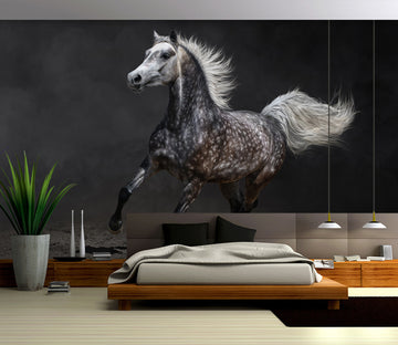 3D Running Black Horse 302 Wall Murals
