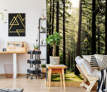3D Forest 57153 Wall Murals