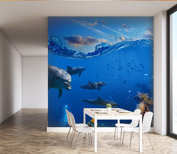 3D Dolphin Fish 238 Wall Murals