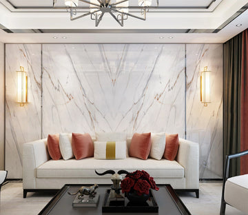 3D Texture Stripes WC2712 Wall Murals