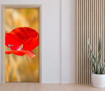 Copy of 3D Red Flower 122141 Marco Carmassi Door Mural
