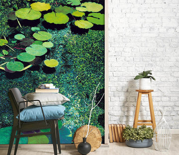 3D Green Shimmering Pond 1402 Allan P. Friedlander Wall Mural Wall Murals