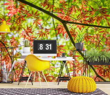 3D Red Maple Leaf 6178 Assaf Frank Wall Mural Wall Murals