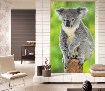 3D Koala Tree 129 Wall Murals
