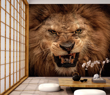 3D Fangs Lion 323 Wall Murals