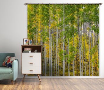 3D Autumn Forest 166 Marco Carmassi Curtain Curtains Drapes