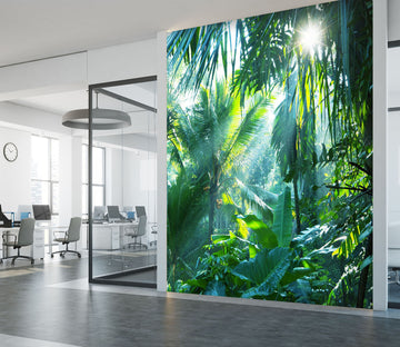 3D Sunny Forest 077 Wall Murals