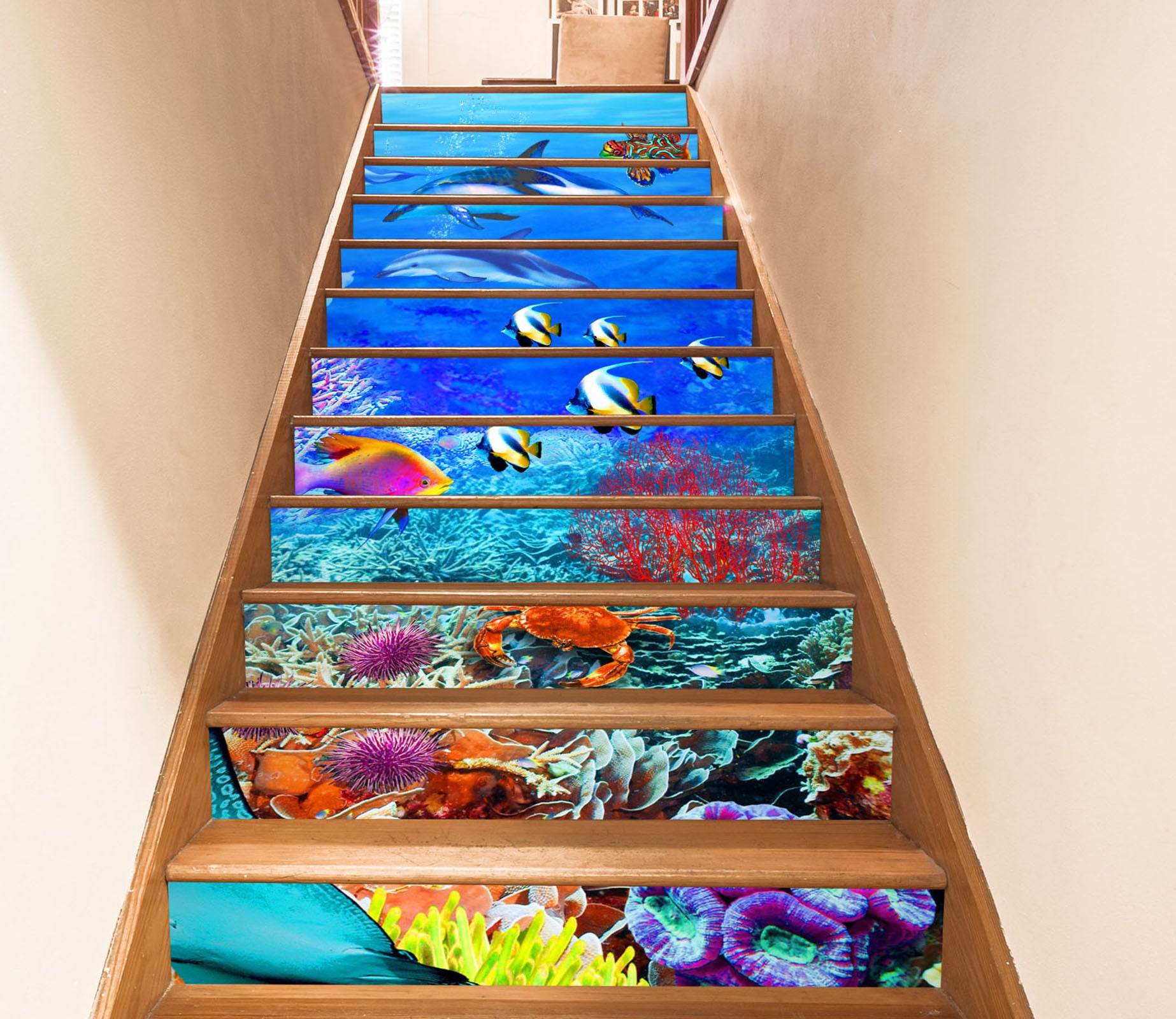 3D Colorful Coral Ocean 96190 Adrian Chesterman Stair Risers
